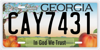 GA license plate CAY7431