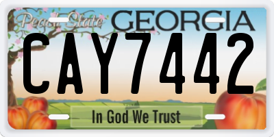GA license plate CAY7442