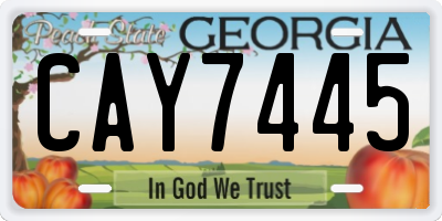 GA license plate CAY7445