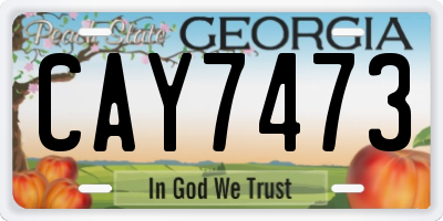 GA license plate CAY7473