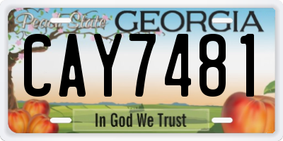 GA license plate CAY7481