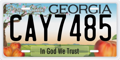 GA license plate CAY7485