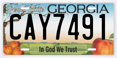 GA license plate CAY7491