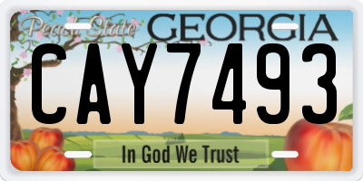 GA license plate CAY7493