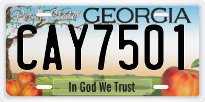 GA license plate CAY7501
