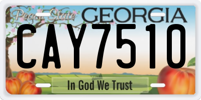 GA license plate CAY7510
