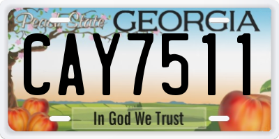 GA license plate CAY7511