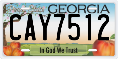 GA license plate CAY7512