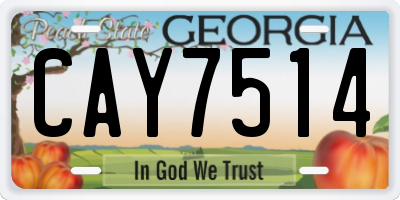 GA license plate CAY7514