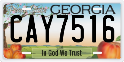 GA license plate CAY7516