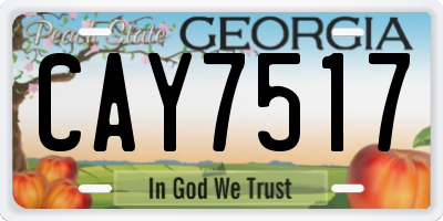 GA license plate CAY7517
