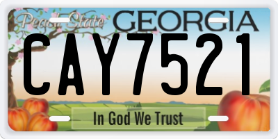 GA license plate CAY7521