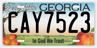 GA license plate CAY7523