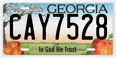 GA license plate CAY7528