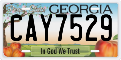 GA license plate CAY7529
