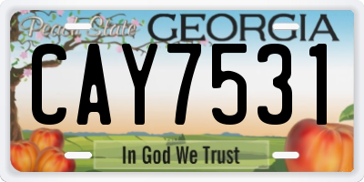 GA license plate CAY7531
