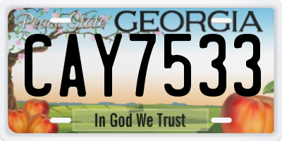 GA license plate CAY7533