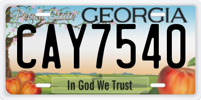 GA license plate CAY7540