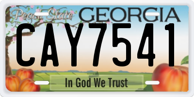 GA license plate CAY7541