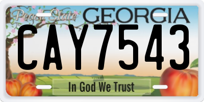 GA license plate CAY7543