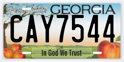 GA license plate CAY7544