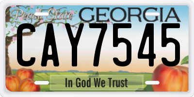 GA license plate CAY7545