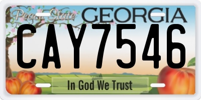GA license plate CAY7546