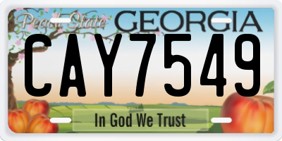 GA license plate CAY7549