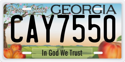 GA license plate CAY7550