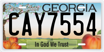 GA license plate CAY7554