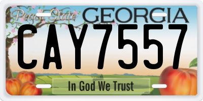 GA license plate CAY7557