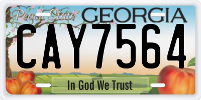 GA license plate CAY7564