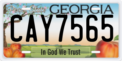 GA license plate CAY7565
