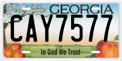 GA license plate CAY7577