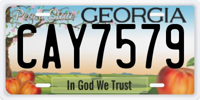 GA license plate CAY7579
