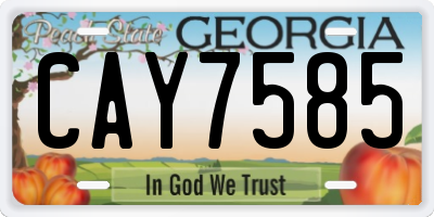 GA license plate CAY7585