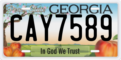 GA license plate CAY7589