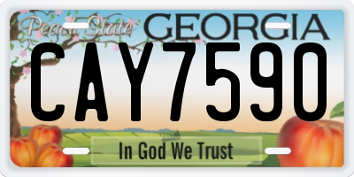 GA license plate CAY7590