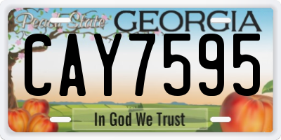GA license plate CAY7595