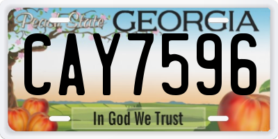 GA license plate CAY7596