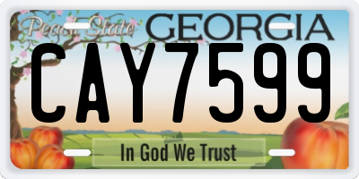 GA license plate CAY7599