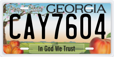 GA license plate CAY7604