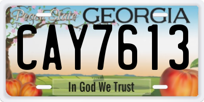 GA license plate CAY7613