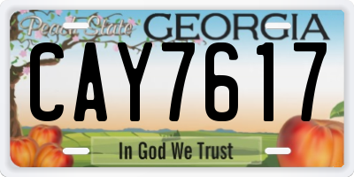 GA license plate CAY7617