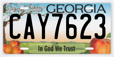 GA license plate CAY7623