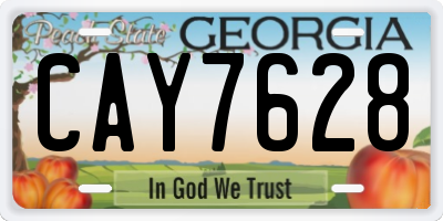GA license plate CAY7628