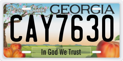 GA license plate CAY7630