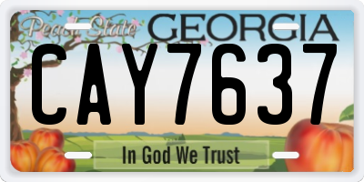 GA license plate CAY7637