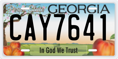 GA license plate CAY7641