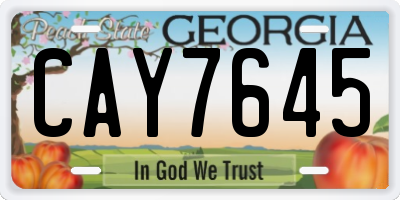 GA license plate CAY7645